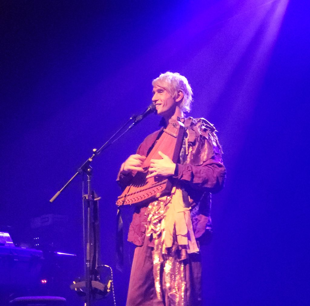 Patrick Wolf, playing a harp on stage